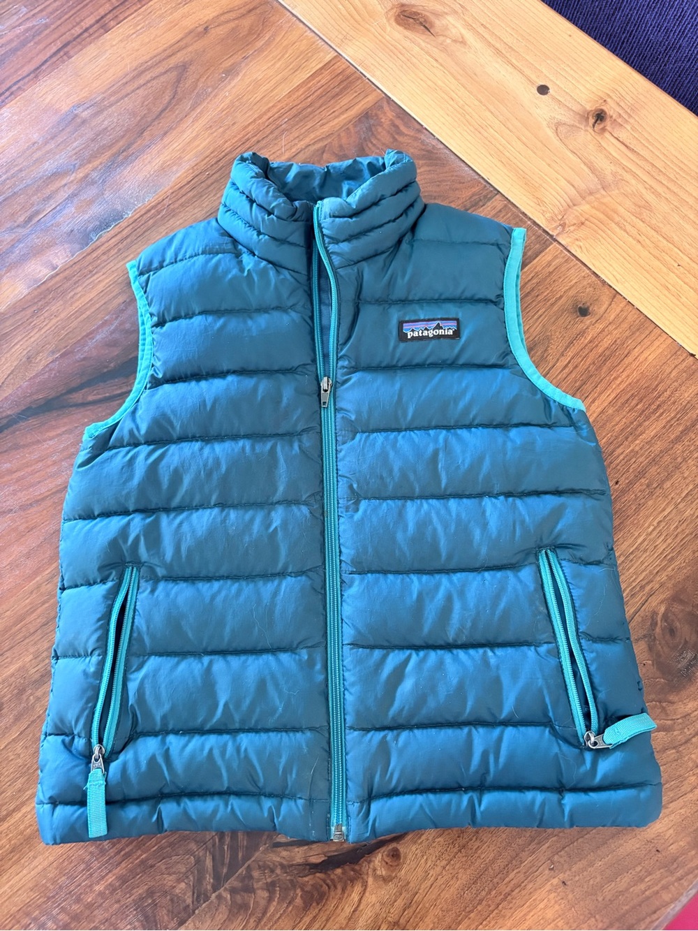 Patagonia Teal Puffer Vest